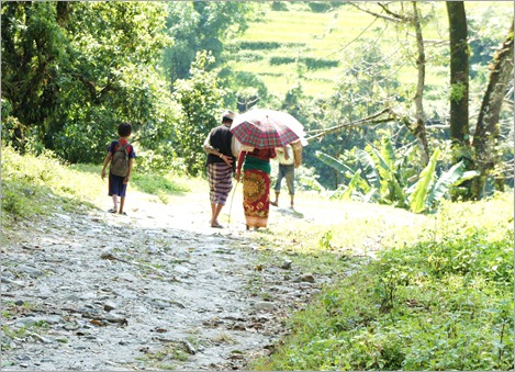 Road to Birethanti
