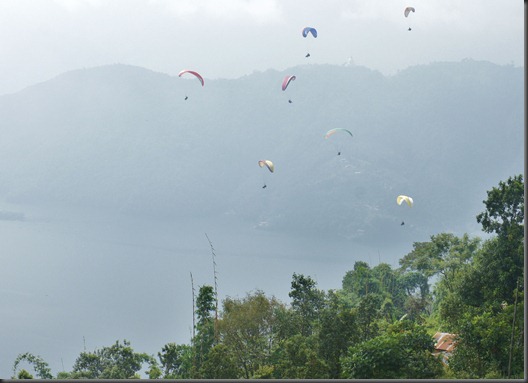 Paragliders