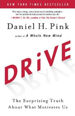 image of Drive book