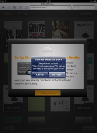 Giving Kindle Cloud Reader permission to store books