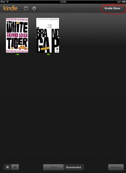 Button for Kindle Store in Cloud Reader 